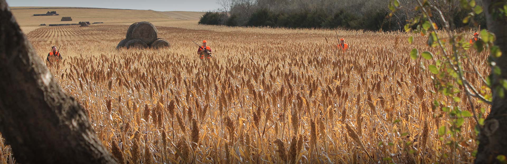 South Dakota Hunting South Dakota Hunting