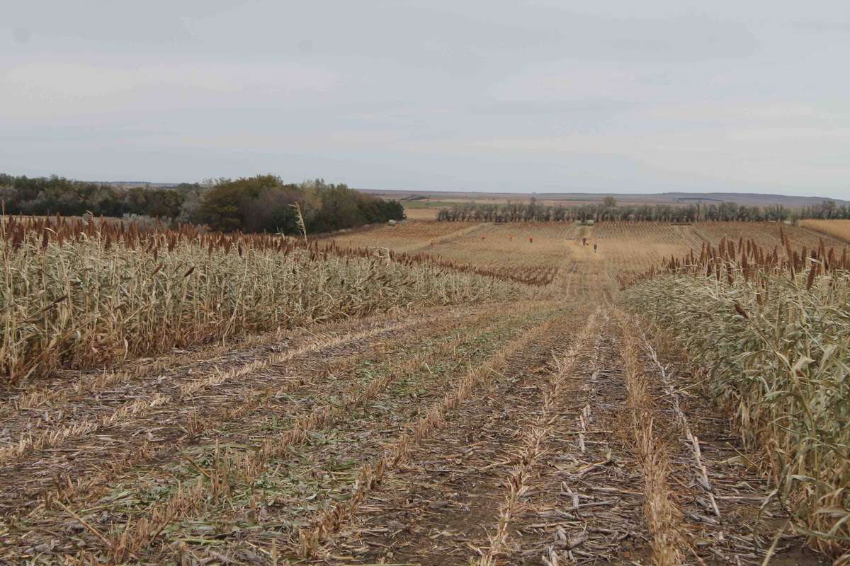 Our Farming Practices Our Farming Practices