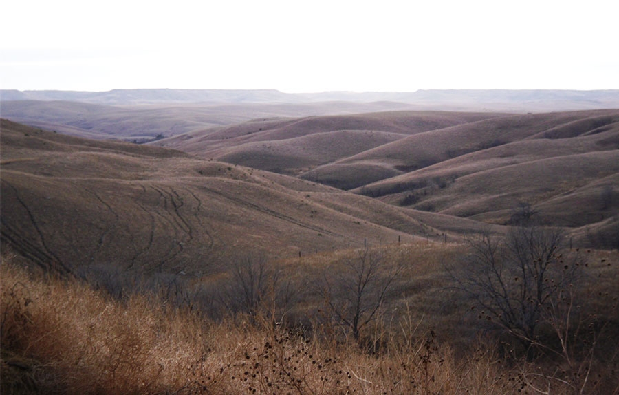 Trophy Deer Hunting Land Trophy Deer Hunting Land