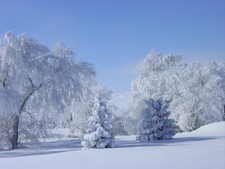 Outside the lodge after a fresh snow.